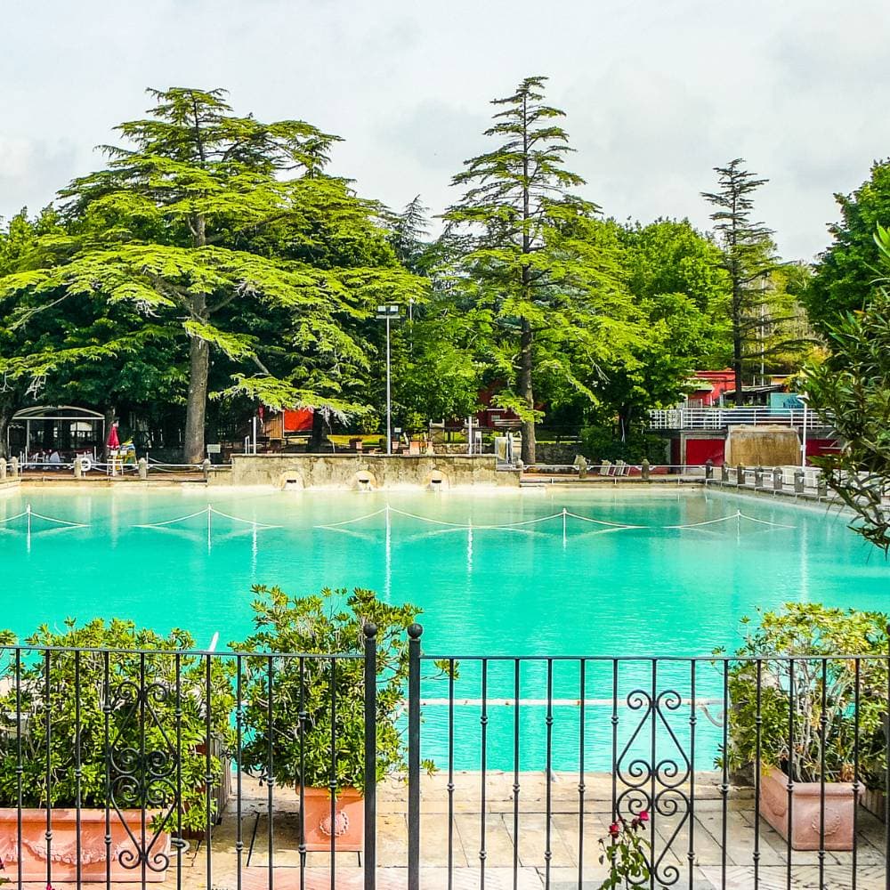 Public Speaking Nicoletta Todesco